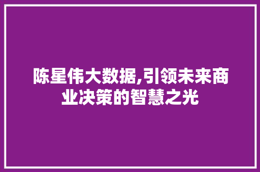 陈星伟大数据,引领未来商业决策的智慧之光 必应SEO