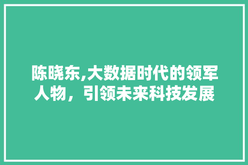 陈晓东,大数据时代的领军人物，引领未来科技发展 神马SEO