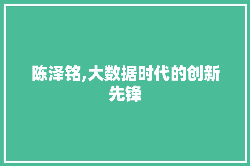 陈泽铭,大数据时代的创新先锋