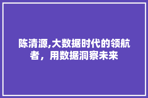 陈清源,大数据时代的领航者，用数据洞察未来 GoogleSEO
