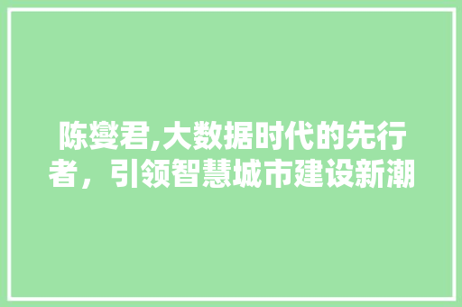 陈燮君,大数据时代的先行者，引领智慧城市建设新潮流 GoogleSEO