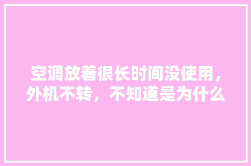 空调放着很长时间没使用，外机不转，不知道是为什么「时间机器为什么不运作了」 空调放着很长时间没使用，外机不转，不知道是为什么「时间机器为什么不运作了」 GoogleSEO