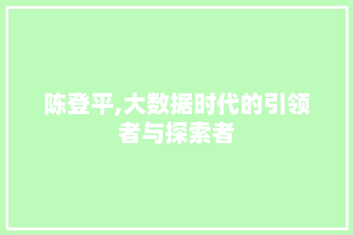 陈登平,大数据时代的引领者与探索者 神马SEO