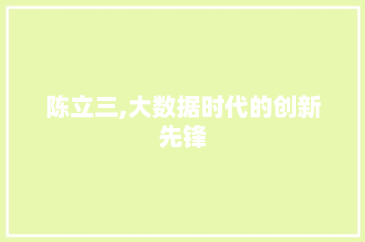 陈立三,大数据时代的创新先锋 神马SEO