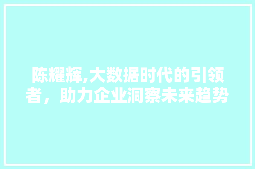 陈耀辉,大数据时代的引领者，助力企业洞察未来趋势 百度SEO