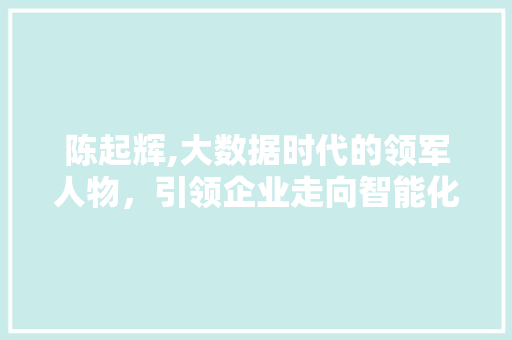 陈起辉,大数据时代的领军人物，引领企业走向智能化未来 GoogleSEO