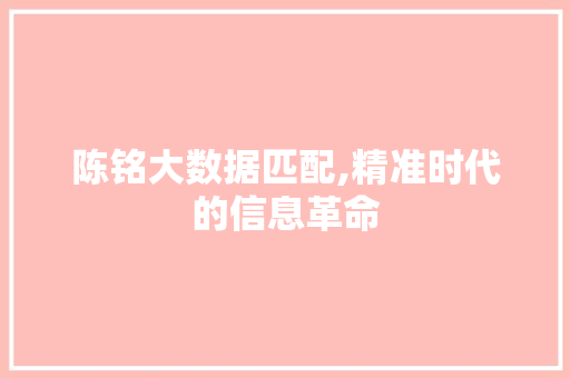 陈铭大数据匹配,精准时代的信息革命 百度SEO