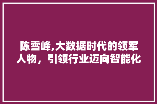 陈雪峰,大数据时代的领军人物，引领行业迈向智能化未来 神马SEO
