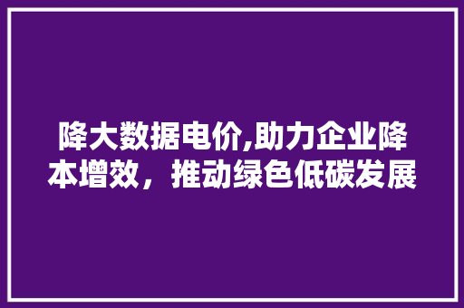 降大数据电价,助力企业降本增效，推动绿色低碳发展 GoogleSEO