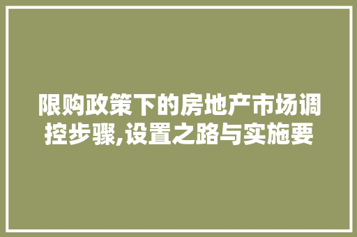 限购政策下的房地产市场调控步骤,设置之路与实施要点 神马SEO