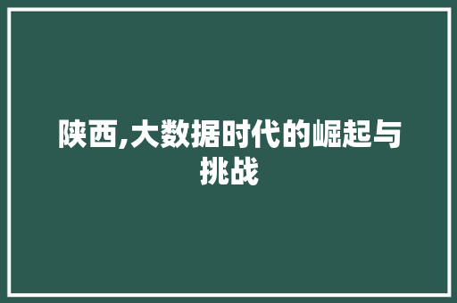 陕西,大数据时代的崛起与挑战 必应SEO