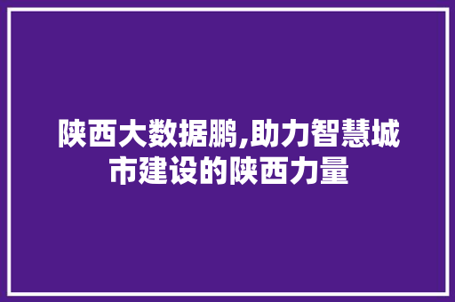 陕西大数据鹏,助力智慧城市建设的陕西力量 GoogleSEO