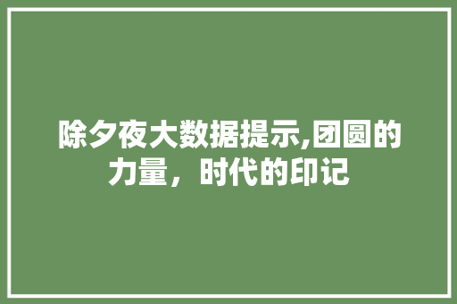 除夕夜大数据提示,团圆的力量，时代的印记 神马SEO
