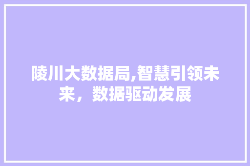 陵川大数据局,智慧引领未来，数据驱动发展