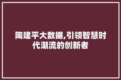 陶建平大数据,引领智慧时代潮流的创新者 必应SEO