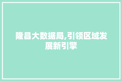 隆昌大数据局,引领区域发展新引擎