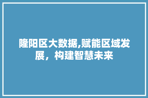 隆阳区大数据,赋能区域发展，构建智慧未来 神马SEO