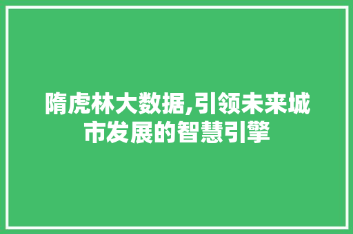 隋虎林大数据,引领未来城市发展的智慧引擎