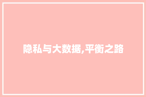 隐私与大数据,平衡之路