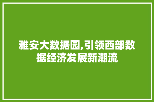 雅安大数据园,引领西部数据经济发展新潮流 GoogleSEO