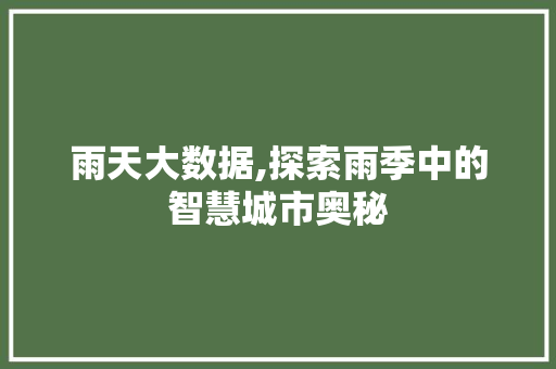 雨天大数据,探索雨季中的智慧城市奥秘 GoogleSEO