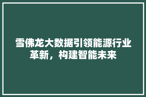 雪佛龙大数据引领能源行业革新，构建智能未来 GoogleSEO