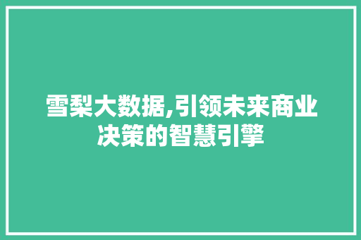雪梨大数据,引领未来商业决策的智慧引擎 必应SEO
