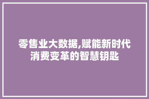 零售业大数据,赋能新时代消费变革的智慧钥匙 百度SEO