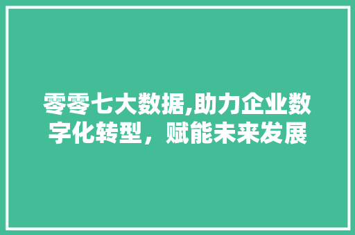 零零七大数据,助力企业数字化转型，赋能未来发展 神马SEO