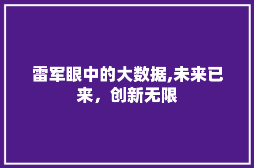 雷军眼中的大数据,未来已来，创新无限 必应SEO