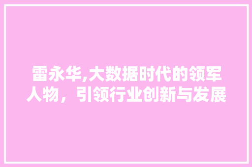 雷永华,大数据时代的领军人物，引领行业创新与发展 百度SEO