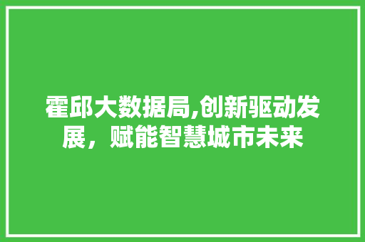 霍邱大数据局,创新驱动发展，赋能智慧城市未来 神马SEO