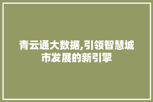 青云通大数据,引领智慧城市发展的新引擎 神马SEO