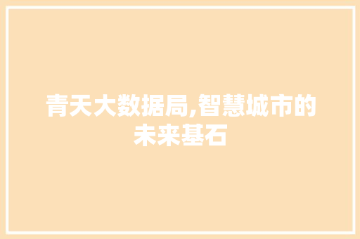 青天大数据局,智慧城市的未来基石 神马SEO