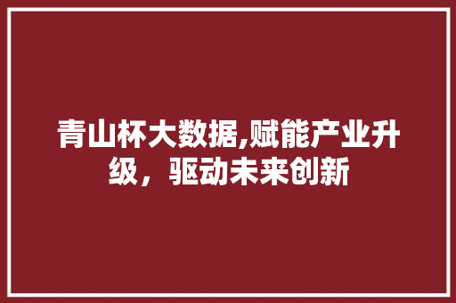 青山杯大数据,赋能产业升级，驱动未来创新 神马SEO