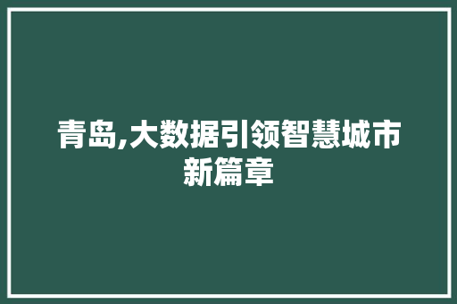 青岛,大数据引领智慧城市新篇章 GoogleSEO