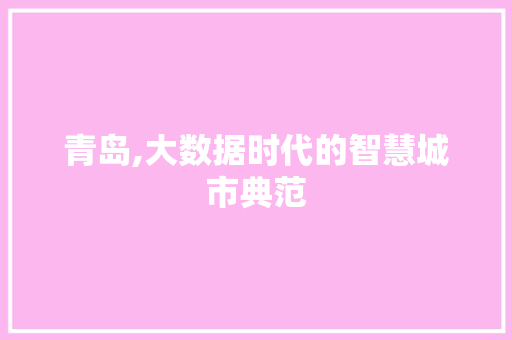 青岛,大数据时代的智慧城市典范 神马SEO