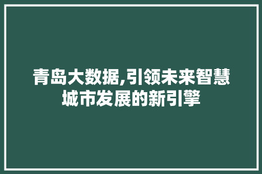 青岛大数据,引领未来智慧城市发展的新引擎 必应SEO