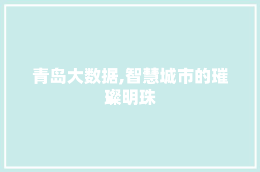 青岛大数据,智慧城市的璀璨明珠 必应SEO