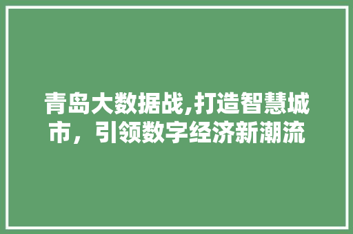 青岛大数据战,打造智慧城市，引领数字经济新潮流 必应SEO