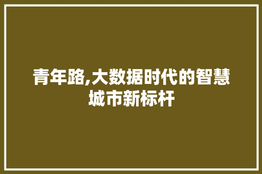 青年路,大数据时代的智慧城市新标杆 GoogleSEO