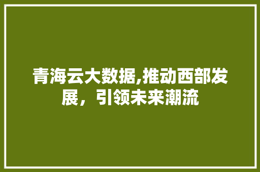青海云大数据,推动西部发展，引领未来潮流 必应SEO