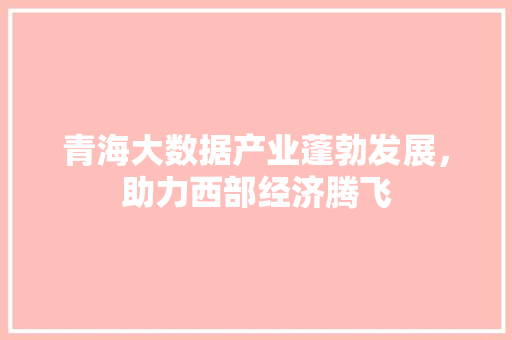 青海大数据产业蓬勃发展，助力西部经济腾飞 GoogleSEO
