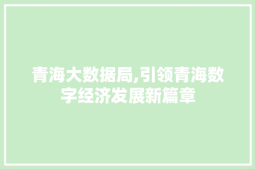青海大数据局,引领青海数字经济发展新篇章 神马SEO