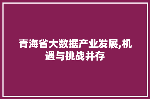 青海省大数据产业发展,机遇与挑战并存 百度SEO
