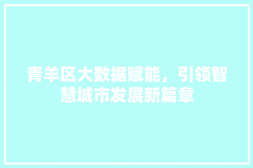 青羊区大数据赋能，引领智慧城市发展新篇章 必应SEO