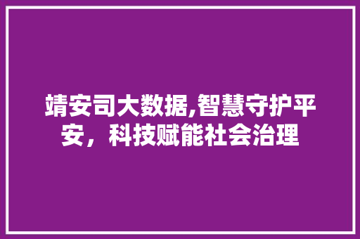 靖安司大数据,智慧守护平安，科技赋能社会治理 必应SEO