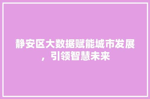 静安区大数据赋能城市发展，引领智慧未来 神马SEO