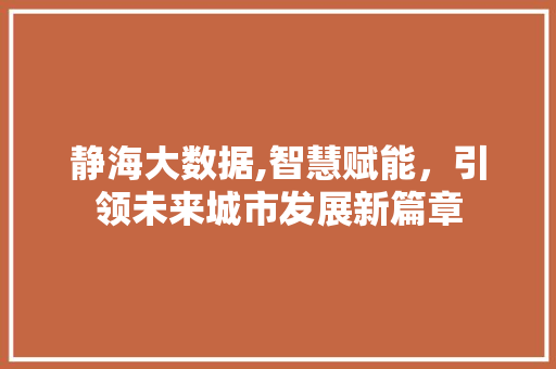 静海大数据,智慧赋能，引领未来城市发展新篇章 百度SEO