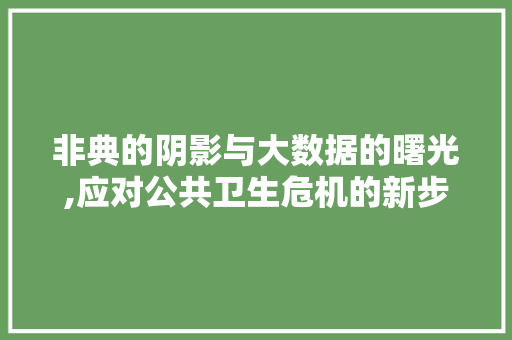 非典的阴影与大数据的曙光,应对公共卫生危机的新步骤 必应SEO